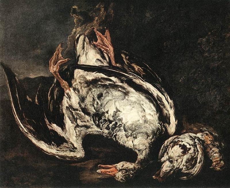 BOEL, Pieter Still-Life with Dead Wild-Duck gfh Sweden oil painting art